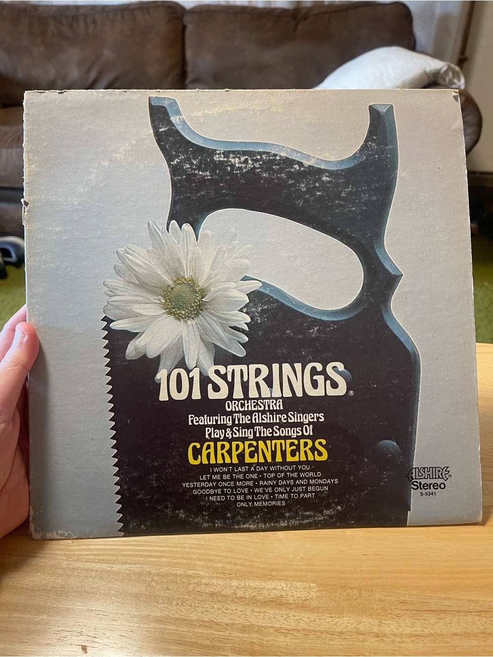 101 Strings - Play & Sing The Songs Of Carpenters (LP, Album)